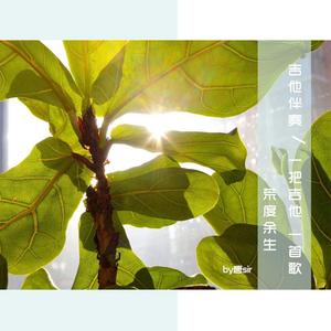 米塔被焯出白水之后多久能恢复
